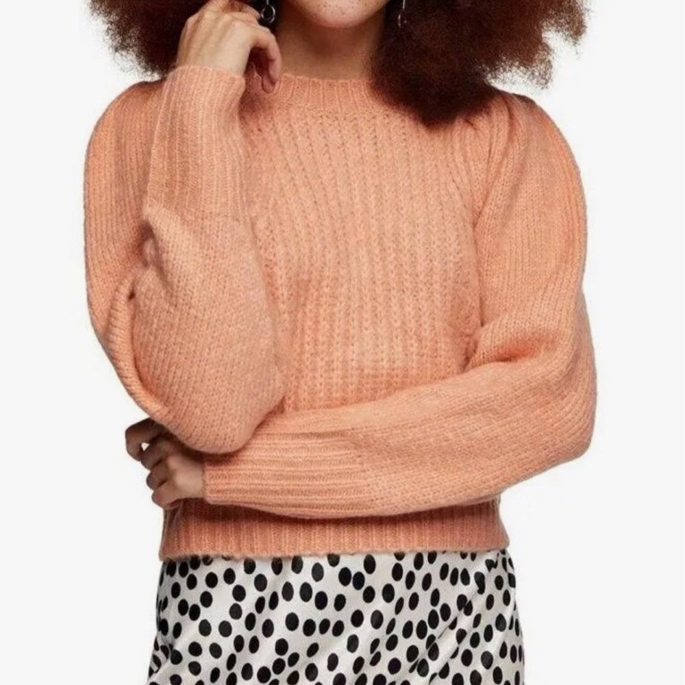 NWT Topshop Cropped Long Puff Sleeve